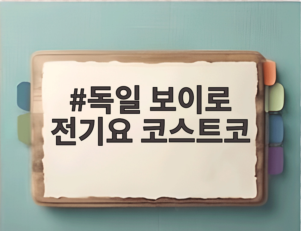 독일 보이로 전기요 코스트코