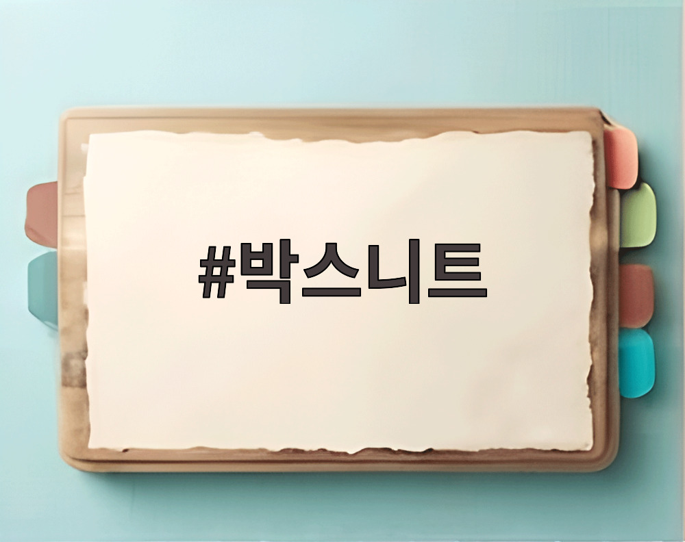 박스니트