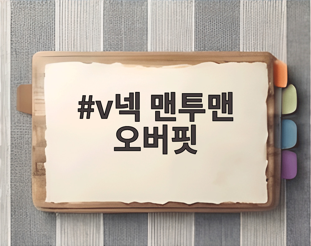 v넥 맨투맨 오버핏