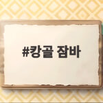 캉골 잠바
