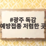 광주 독감 예방접종 저렴한 곳 가격 비교하고 미리 맞으세요 광주 독감 예방접종 저렴한 곳