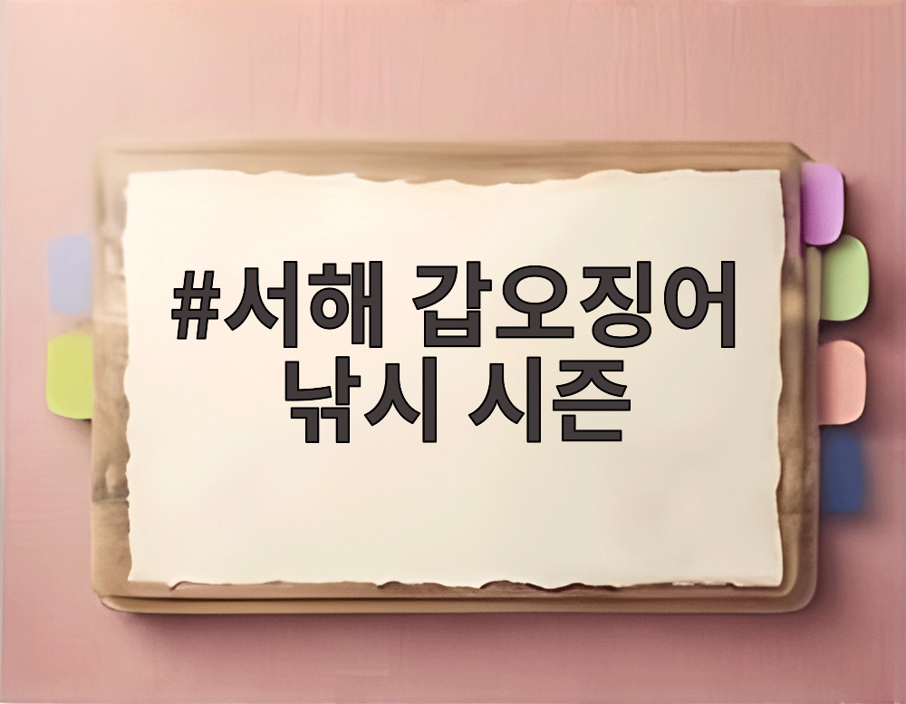 서해 갑오징어 낚시 시즌