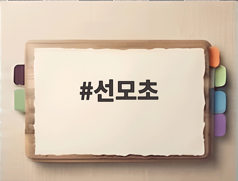 선모초