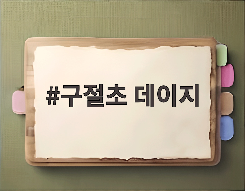 구절초 데이지