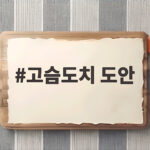 고슴도치 도안