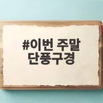 이번 주말 단풍구경