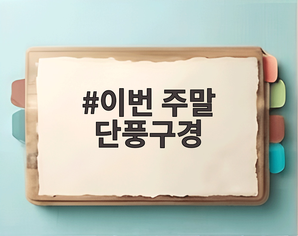 이번 주말 단풍구경