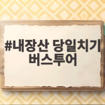 내장산 당일치기 버스투어