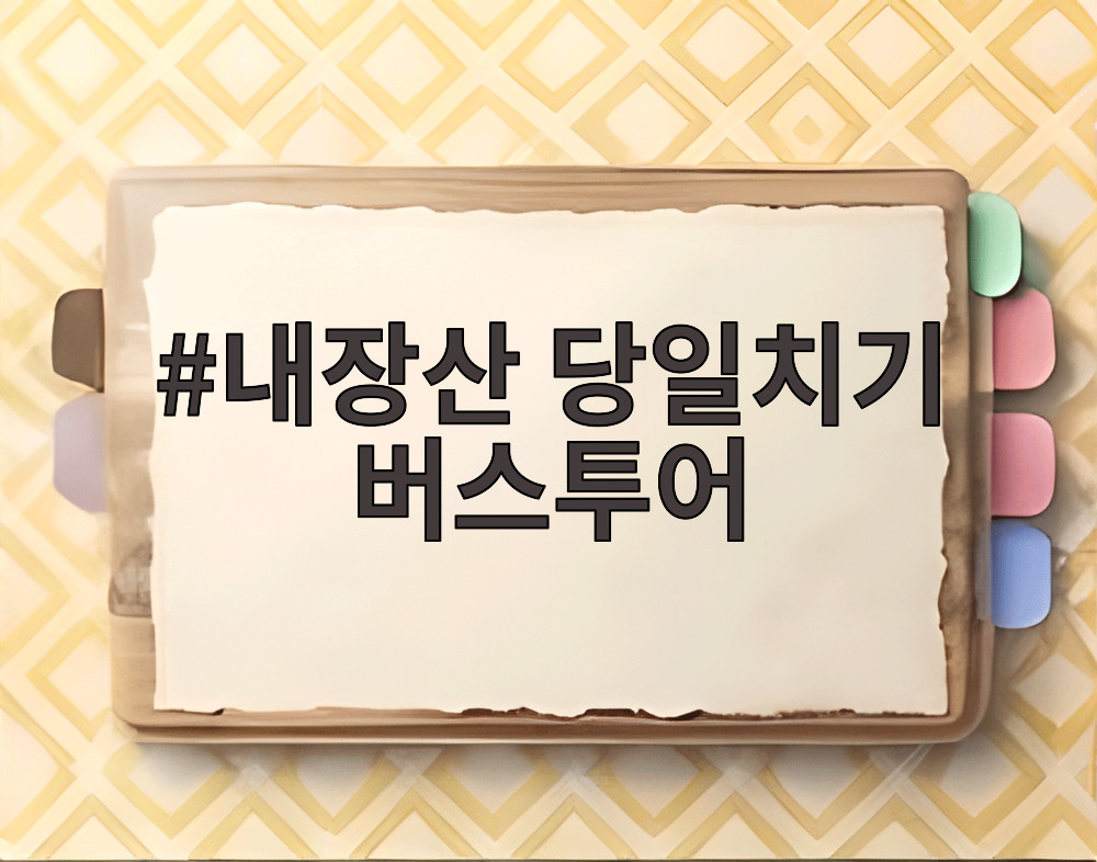 내장산 당일치기 버스투어