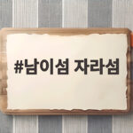 남이섬 자라섬 하루에 다 보려면 이 순서로 가세요 남이섬 자라섬