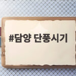 담양 단풍시기