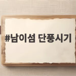 남이섬 단풍시기 2026년 절정 날짜와 가을 여행 준비 남이섬 단풍시기