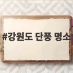 강원도 단풍 명소