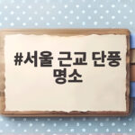 서울 근교 단풍 명소 2026 절정 시기와 숨은 스팟 총정리 서울 근교 단풍 명소