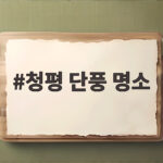 청평 단풍 명소 16일간 무료로 즐기는 가을 산책 청평 단풍 명소