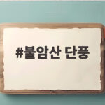 불암산 단풍