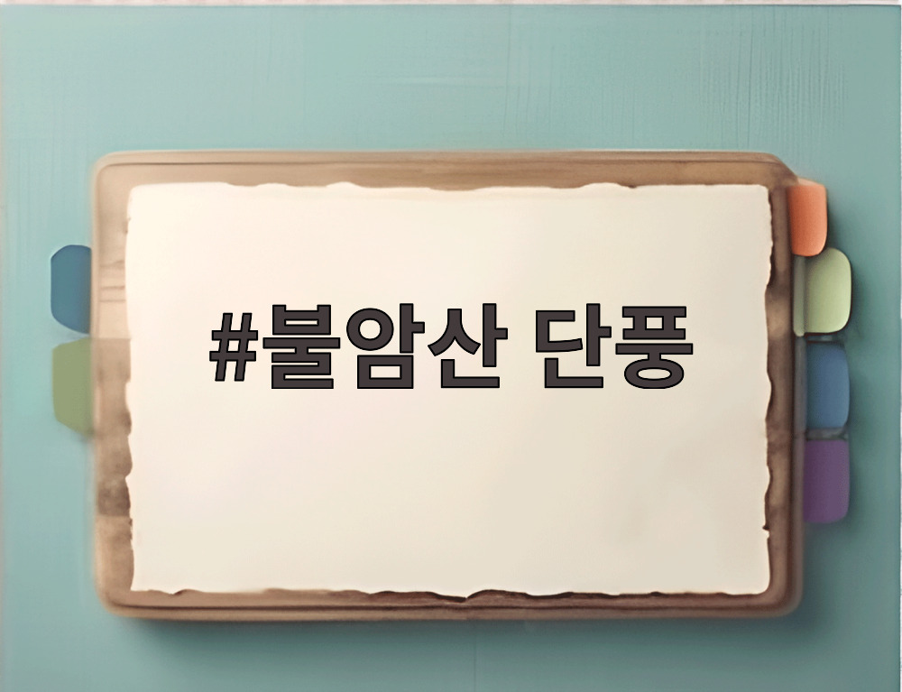 불암산 단풍