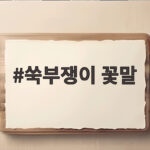 쑥부쟁이 꽃말 알고 보면 눈물 나는 가을 이야기 쑥부쟁이 꽃말