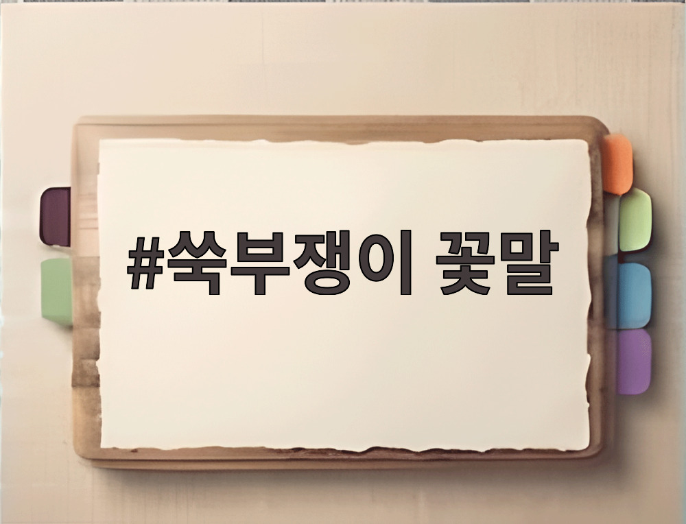쑥부쟁이 꽃말