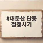 대둔산 단풍 절정시기 실시간 전망과 등산코스 추천 대둔산 단풍 절정시기