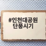 인천대공원 단풍시기