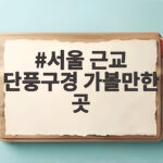 서울 근교 단풍구경 가볼만한 곳 네 곳 비교와 시기 팁 서울 근교 단풍구경 가볼만한 곳