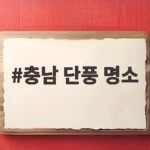 충남 단풍 명소