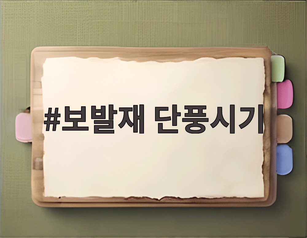 보발재 단풍시기