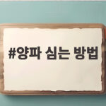 양파 심는 방법 이것만 알면 봄에 알찬 양파 수확해요 양파 심는 방법