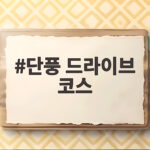 단풍 드라이브 코스 이렇게 고르면 가을이 달라집니다 단풍 드라이브 코스