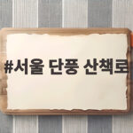서울 단풍 산책로