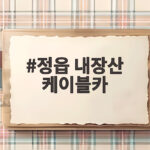 정읍 내장산 케이블카