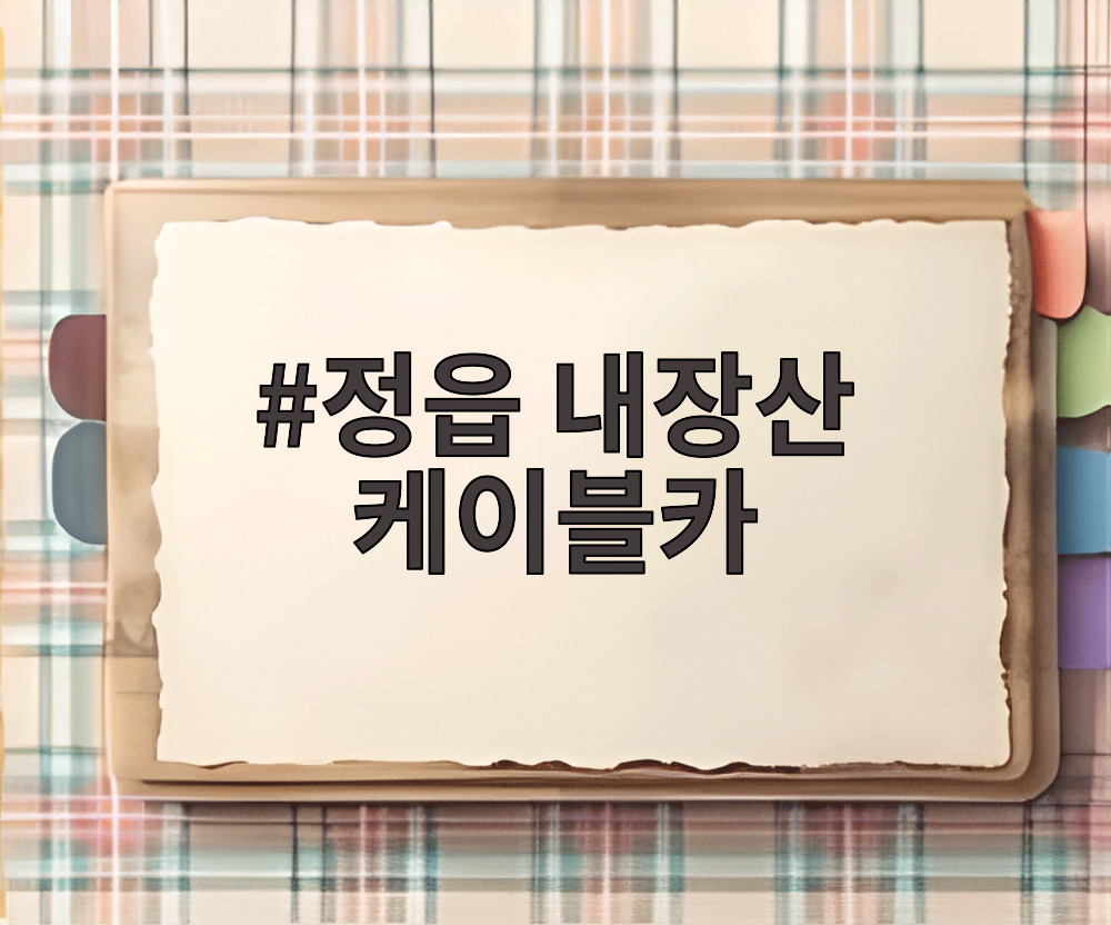 정읍 내장산 케이블카