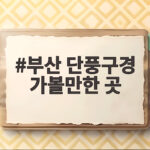 부산 단풍구경 가볼만한 곳 절정 시기와 아이와 가기 좋은 명소 부산 단풍구경 가볼만한 곳