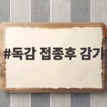 독감 접종후 감기 왜 걸릴까 이 글에서 답을 확인하세요 독감 접종후 감기