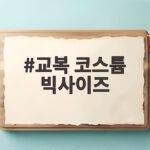 교복 코스튬 빅사이즈