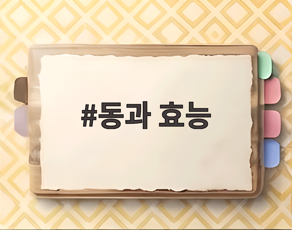 동과 효능