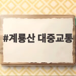 계룡산 대중교통