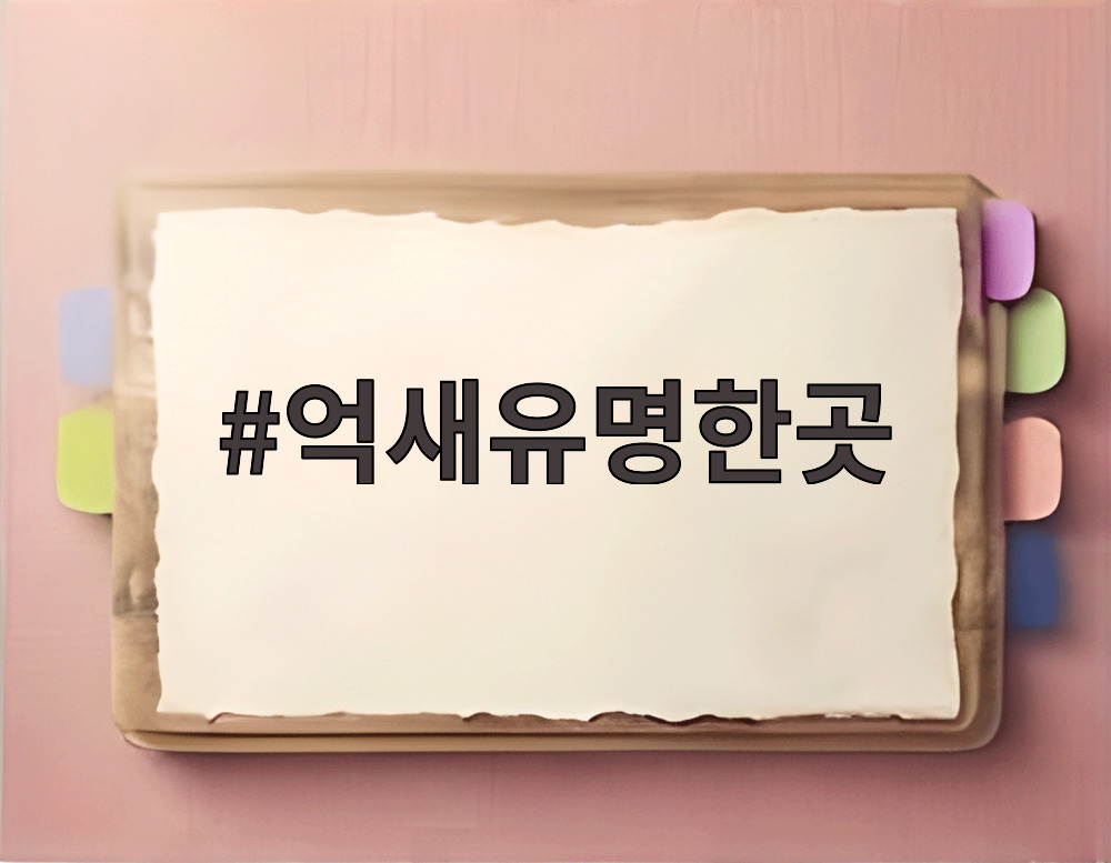 억새유명한곳