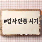 갑사 단풍 시기 놓치면 아쉬운 공주 계룡산 가을 여행 갑사 단풍 시기