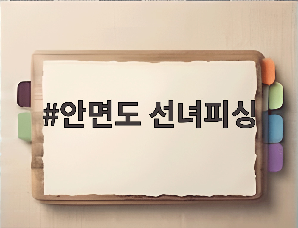 안면도 선녀피싱