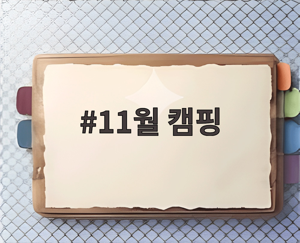 11월 캠핑