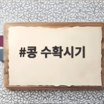 콩 수확시기 꼬투리 색으로 판단하고 건조까지 완성하세요 콩 수확시기