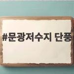 문광저수지 단풍