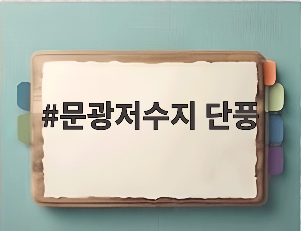 문광저수지 단풍