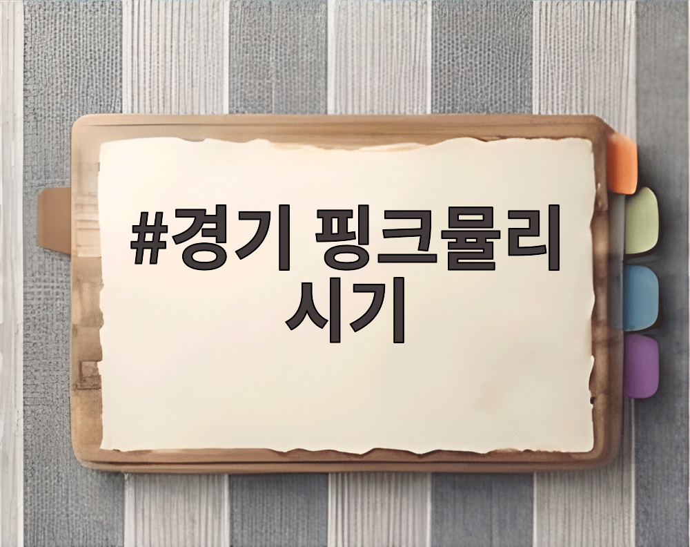 경기 핑크뮬리 시기