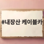 내장산 케이블카 타고 단풍 구경하려면 2026년 이 정보만 확인하세요 내장산 케이블카