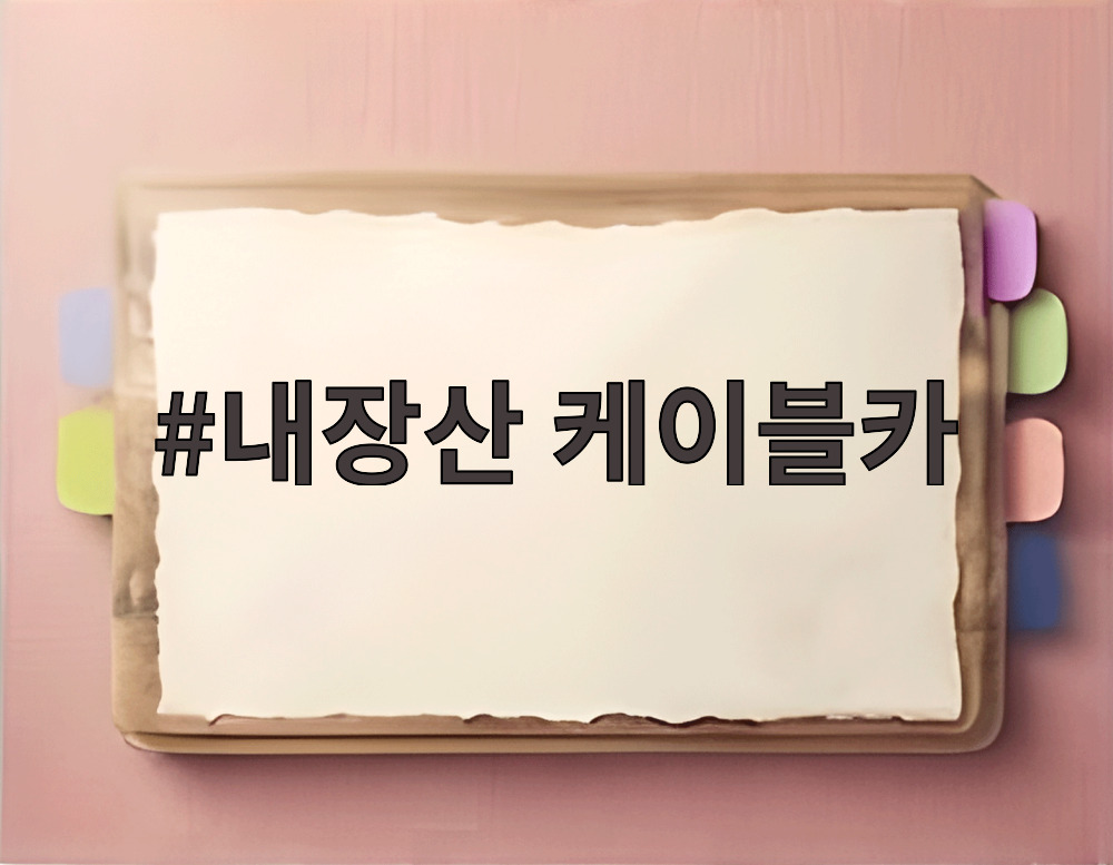 내장산 케이블카