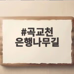 곡교천 은행나무길 노란 절정 시기와 아이와 걷기 좋은 이유 곡교천 은행나무길