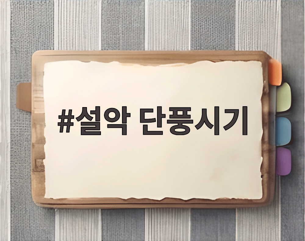 설악 단풍시기 절정 무렵 붉게 물든 설악산 능선과 단풍나무
